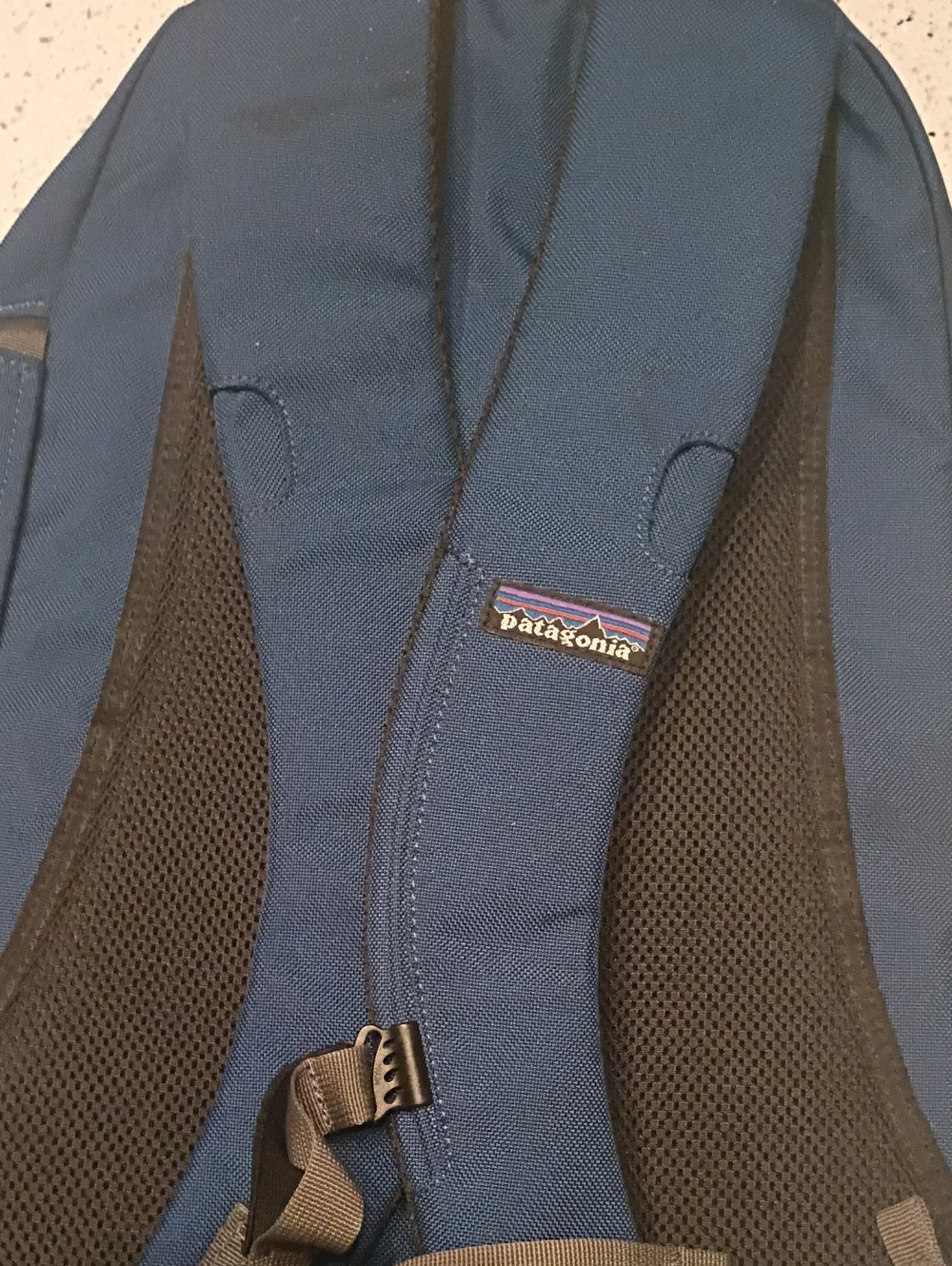 Patagonia Blue Men's Backpack with Vertical Logo Stripe
